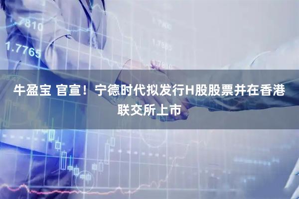 牛盈宝 官宣！宁德时代拟发行H股股票并在香港联交所上市