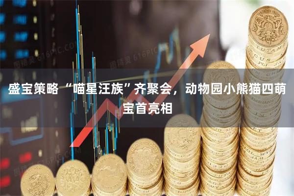 盛宝策略 “喵星汪族”齐聚会，动物园小熊猫四萌宝首亮相