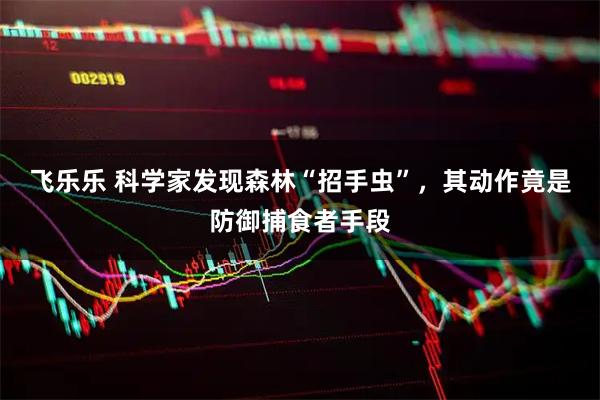飞乐乐 科学家发现森林“招手虫”，其动作竟是防御捕食者手段
